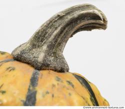 Photo Textures of Pumpkin Hokkaido